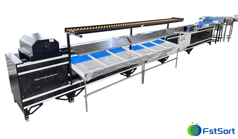 images/1751359077068mango grading machine.jpg